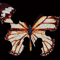 H.A. Ormziar profile picture