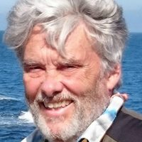 Terry McHugh profile picture