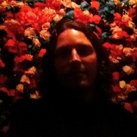 Will  Chancellor profile picture