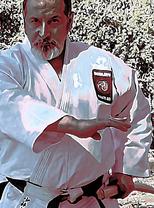 Soke Behzad Ahmadi