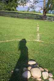 Trish Lindsey Jaggers