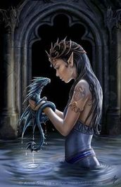 Maija Willow profile picture