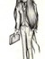 Cymoril_Melnibone Cymoril_Melnibone
