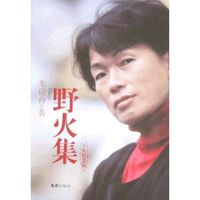 龍應台
