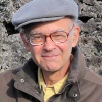 Steven Vogel profile picture