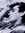 Tom Veitch