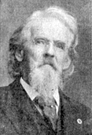 Maurice Walsh profile picture