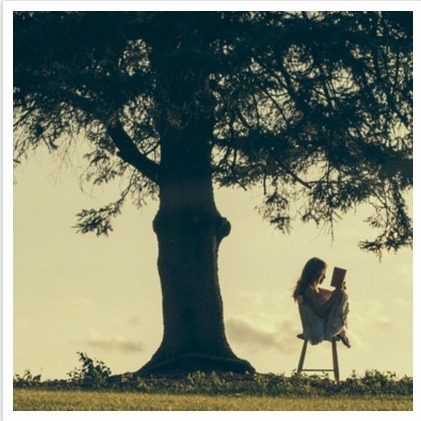 Shana Rae (Author of 2105)