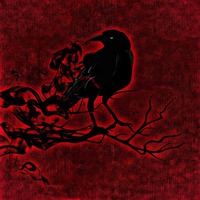 Lizzie Crowdagger profile picture