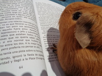 Javier Pavia Fernandez