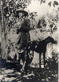 Pierre Andrézel profile picture