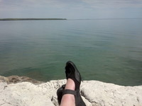 Chris Dinesen Rogers profile picture