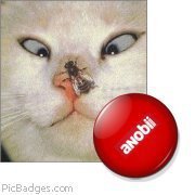 Maria Grazia Beltrami