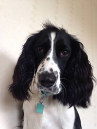 Sarah  Hope profile picture