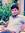 Rohan G...