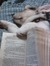 Ebook The Encyclopedia of Historic and Endangered Livestock and Poultry Breeds read Online! Ebook The Encyclopedia of Historic and Endangered Livestock and Poultry Breeds read Online!