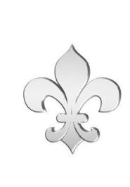 Z.N. Willett profile picture