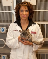 Laurie Hess profile picture
