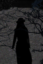 Raven  West profile picture