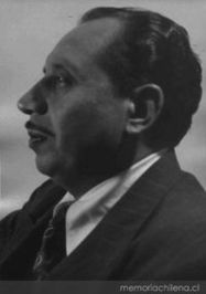 Rosamel del Valle profile picture