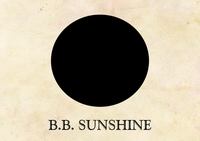 B.B. Sunshine profile picture