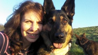 Lyndon Stacey profile picture