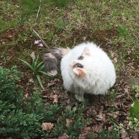 Collette Ritz profile picture