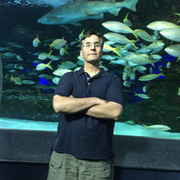 Monstermatt Patterson