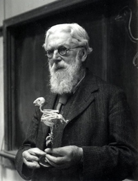 D'Arcy Wentworth Thompson profile picture