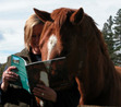 Ebook Ripple and the Wild Horses of White Cloud Station read Online! Ebook Ripple and the Wild Horses of White Cloud Station read Online!