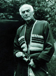 ჭაბუა ამირეჯიბი