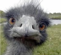 Kerrin Margiano profile picture