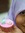 K. Auli...