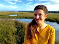 Stephanie Schlaifer profile picture
