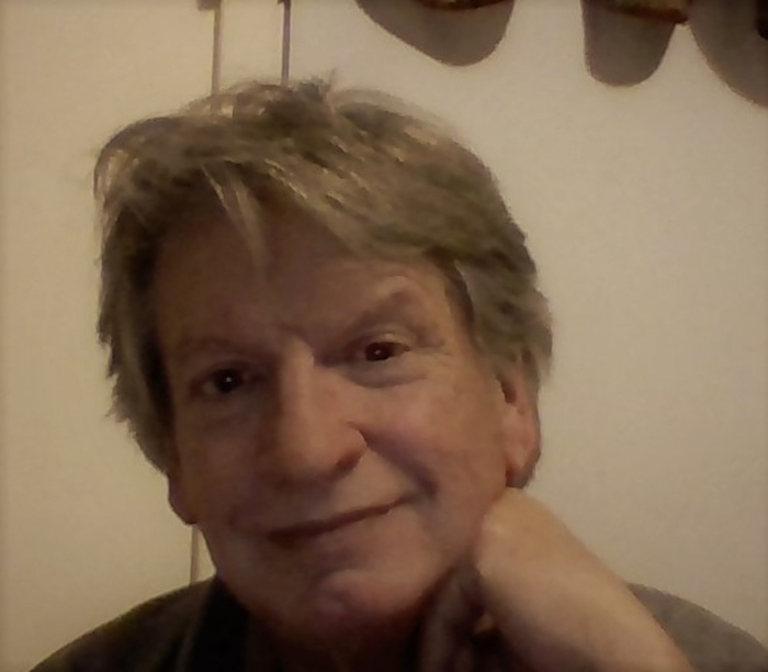 Robin Lambert (Author of This Book's Not Perfect)