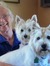 Linda M. Hasselstrom