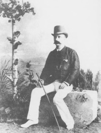 P.A. Daum profile picture