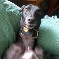 M.M. Graham profile picture