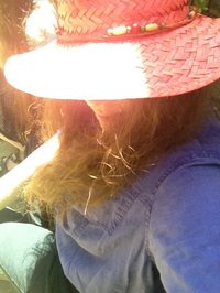 Elizabeth McCoy profile picture