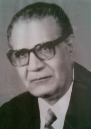 محمد محمود الصياد