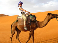 E.M. McCann profile picture