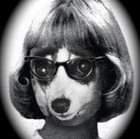 Sandra Antonelli profile picture