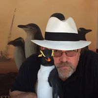Steven  Hammond profile picture