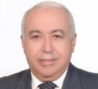 محمد الدسوقي