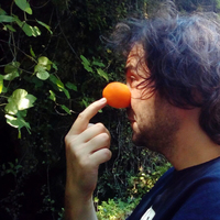 Ferran Cerdans Serra