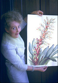 Margaret Mee profile picture