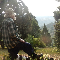 David Francis Curran