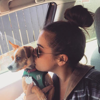 Monica McCallan profile picture