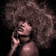 D.B. Shayne
