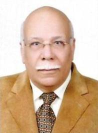 محمد نور الدين عبد المنعم